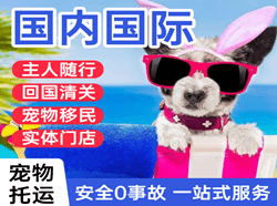 长安空运国际宠物托运 【国
